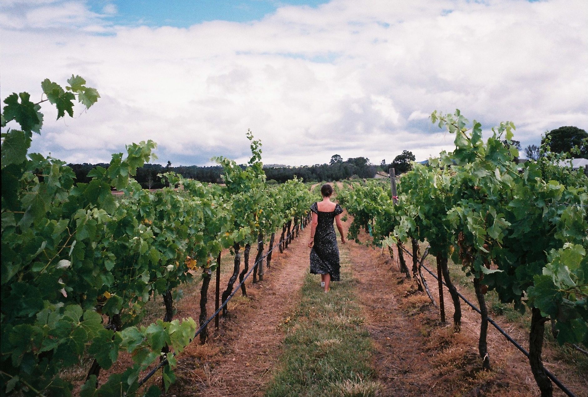 Weekend Getaways from Newcastle: Hunter Valley, Port Stephens and the Upper Hunter