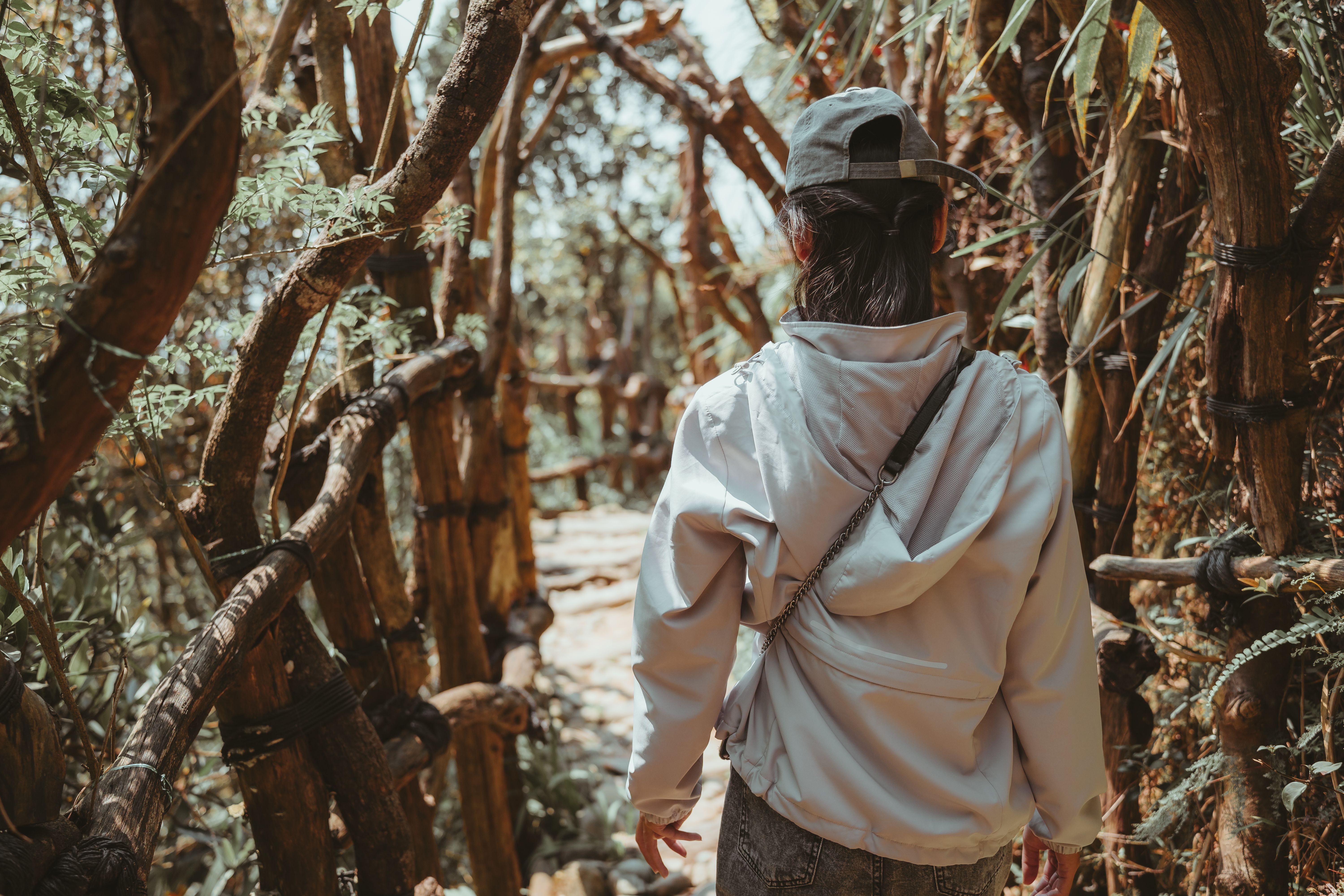 Hiking and Walking Trails Near Newcastle: The Bathers Way, Watagan and Beyond