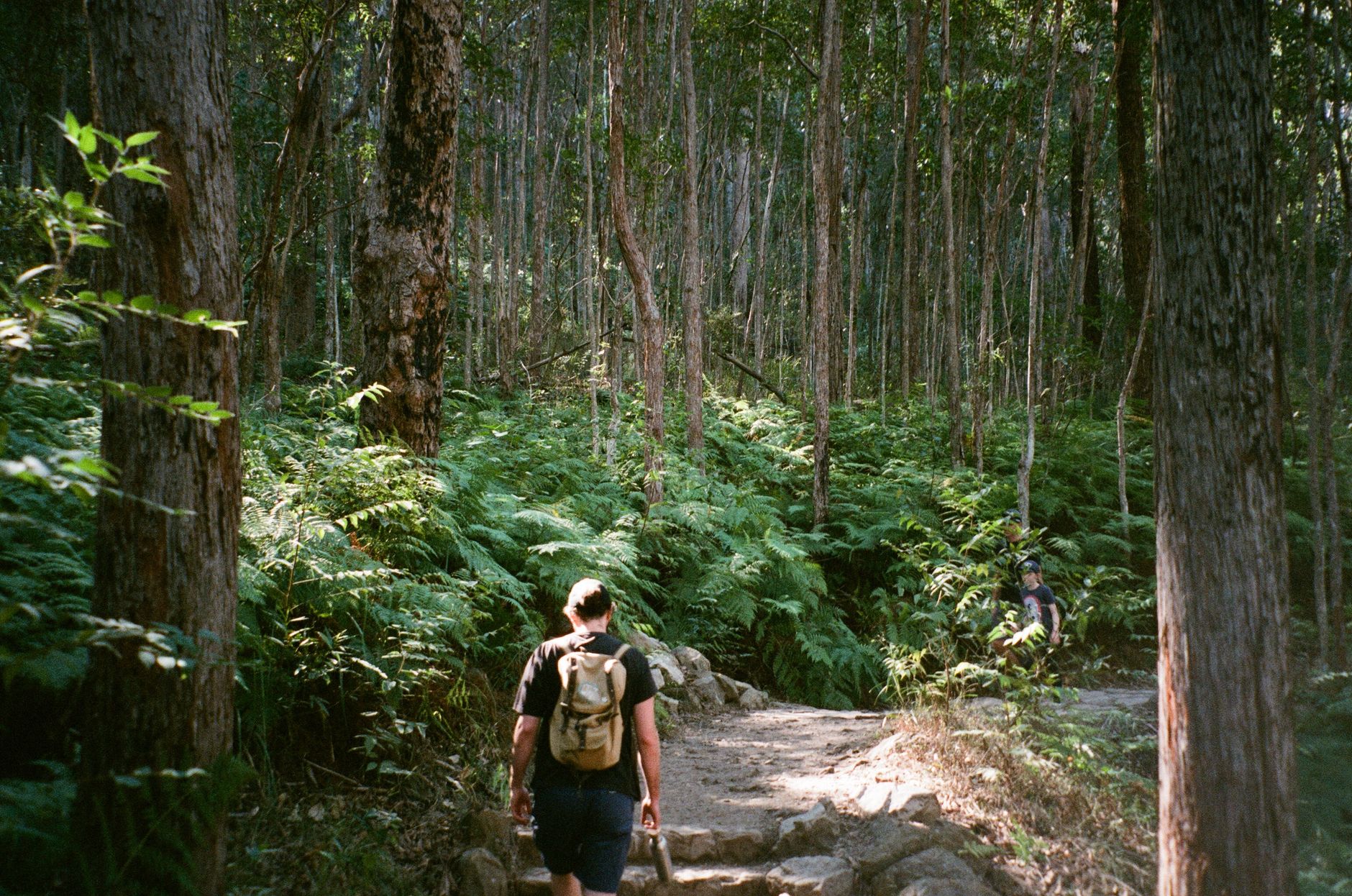 Bushwalking Near Newcastle: Best Trails, Reserves and National Parks