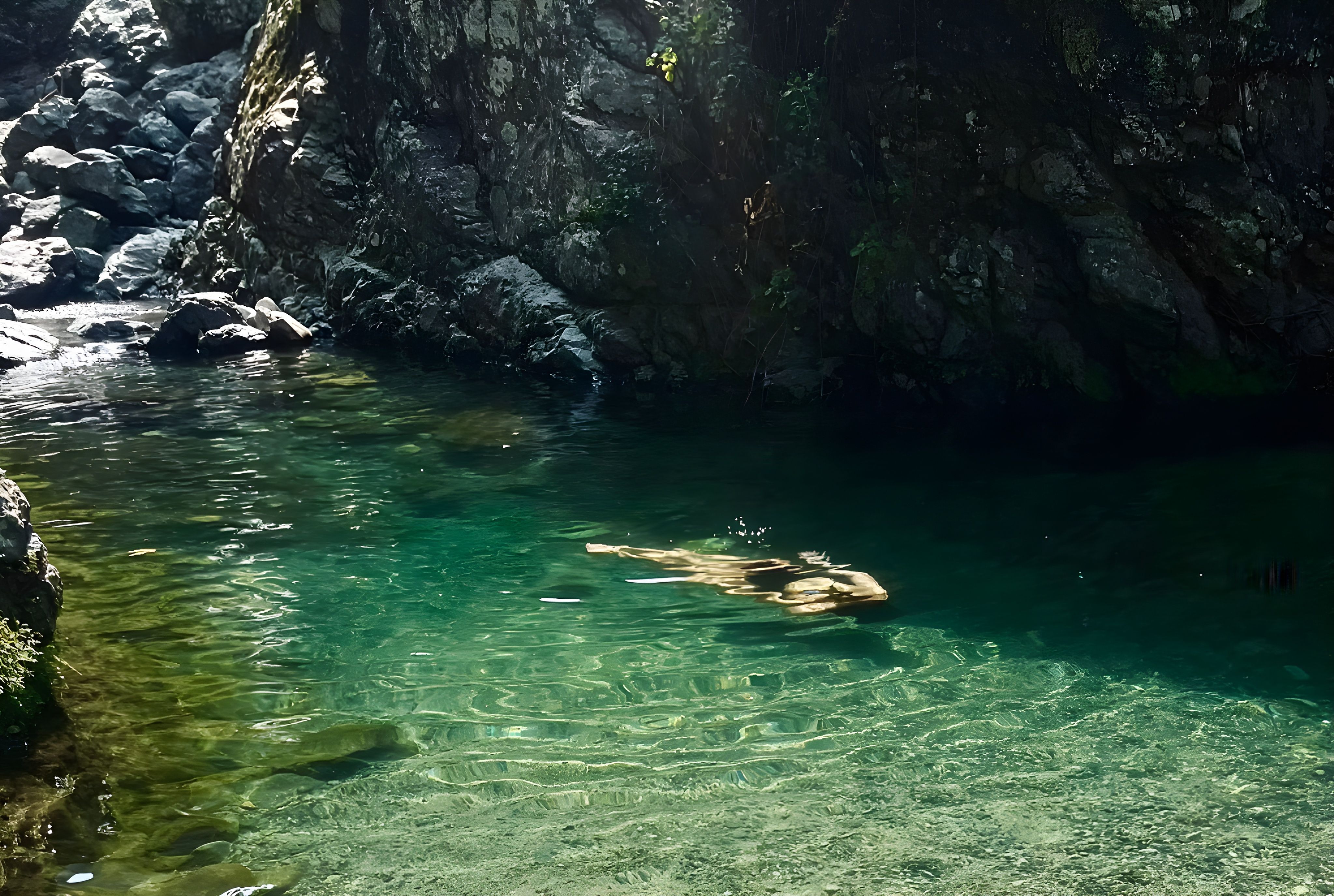 Swimming Holes Near Newcastle: Best Natural Spots Within Day-Trip Range