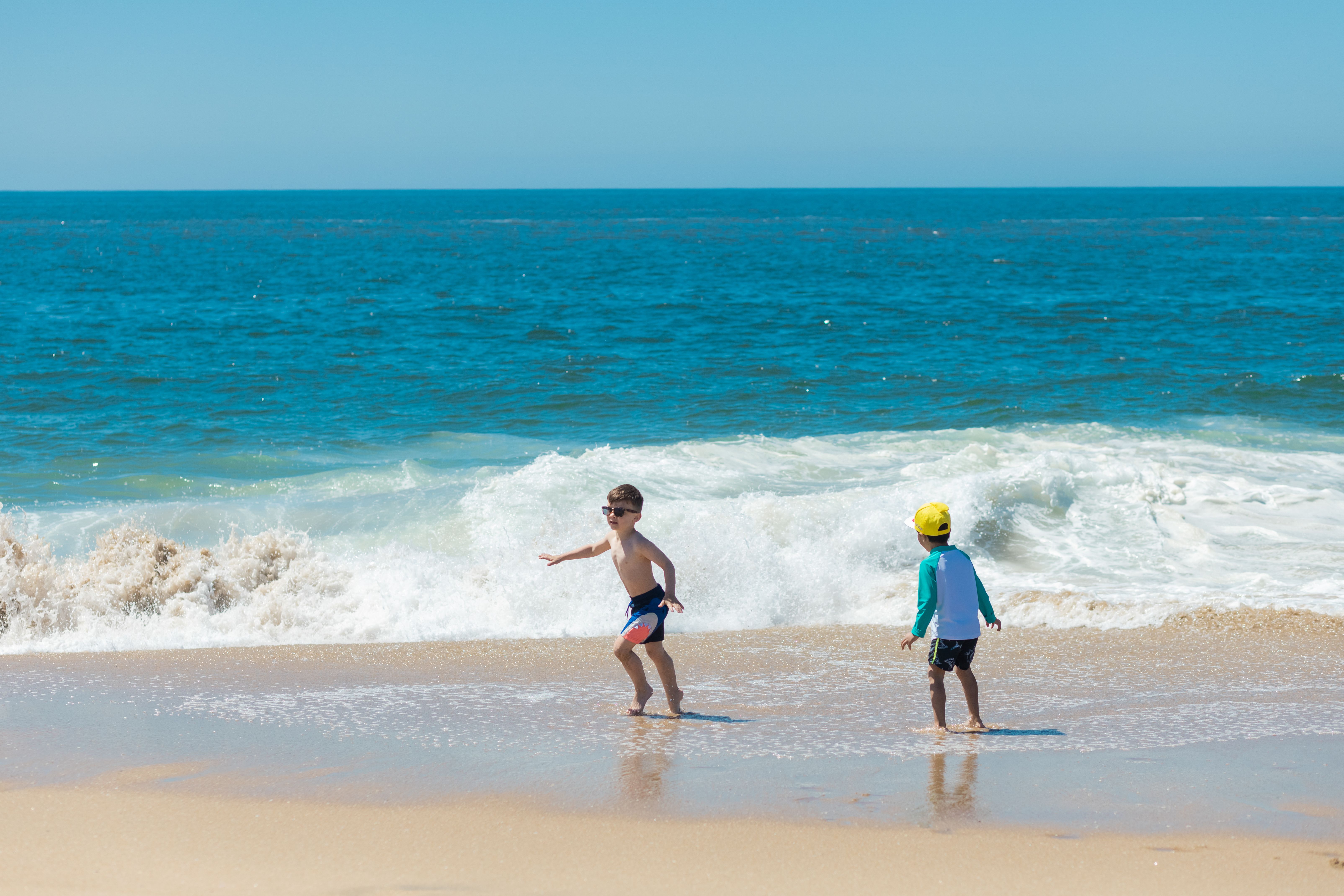 Best Family Activities in Newcastle NSW: Beaches, the Museum and Hunter Valley Zoo